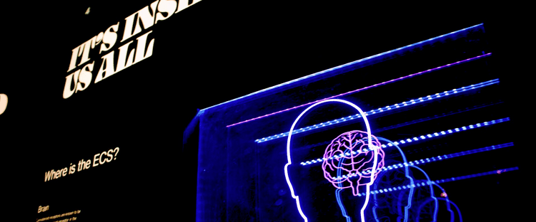 Imagem Avaliação Neuropsicológica: